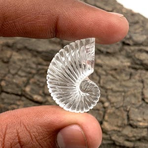 Clear Quartz Carved Sea Shell Gemstone: AAA+ Crystal for Jewelry