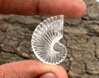 Puede incluir: Una gema de cristal transparente tallada en forma de concha de nautilus. La gema se sostiene entre dos dedos, mostrando su intrincado diseño en espiral y su superficie pulida. El fondo es una superficie texturizada de color marrón oscuro.