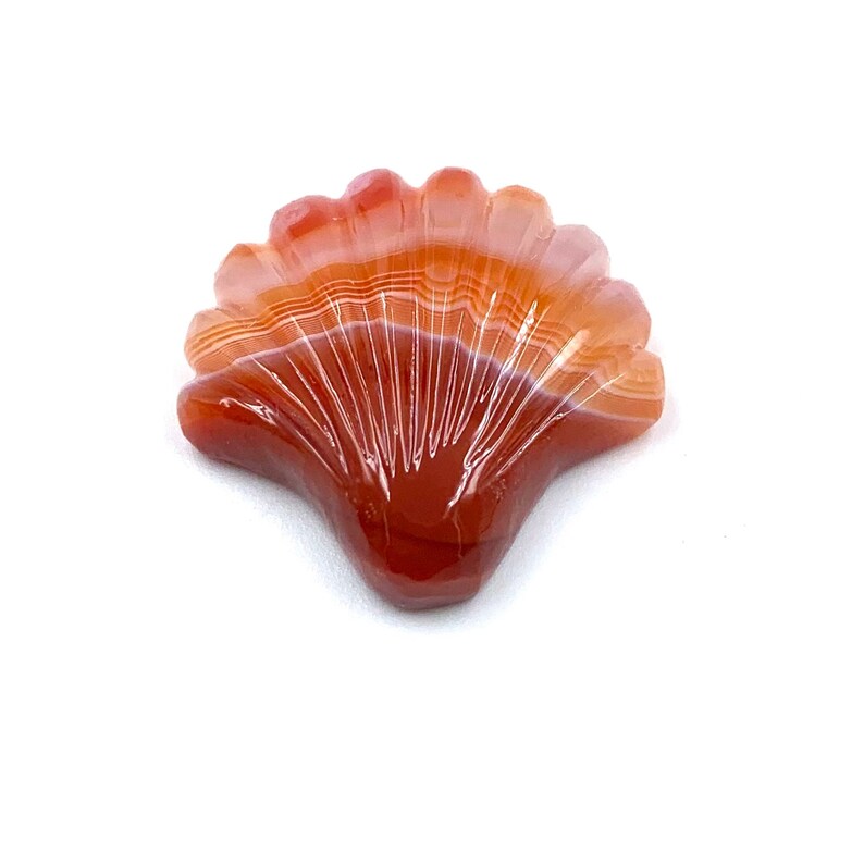 May include: A carved carnelian shell with a fan-shaped design. The shell is a deep red color with white stripes.