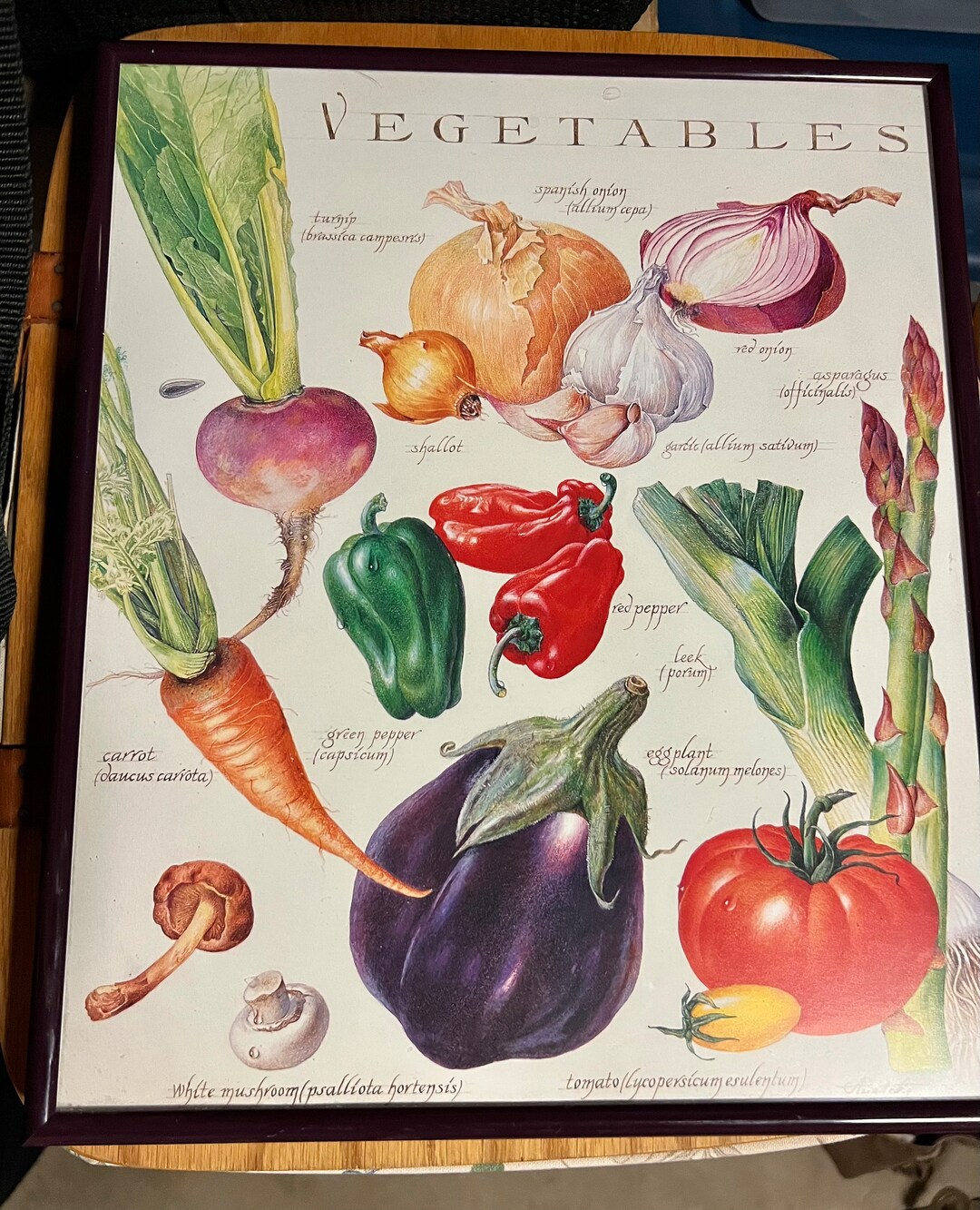 Vintage VEGETABLES Wall Art/ Kitchen Decor Etsy