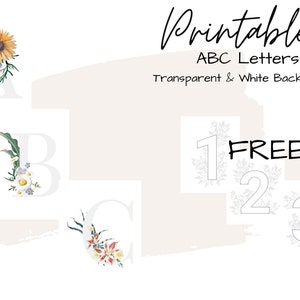 ABC Letters, Transparent ABC, Alphabet pattern, Cute letter set, Floral alphabet clipart, Wedding Letters, Instant download, Free Gift