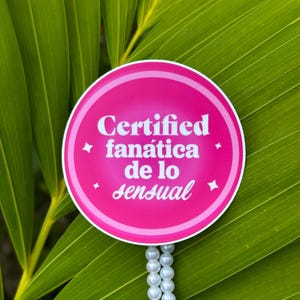 Fanática Sticker - Puerto Rican Stickers - Reggaeton Song