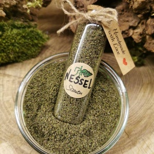 NETTLE Seeds of nettle size 50ml jar herbs spices image 3