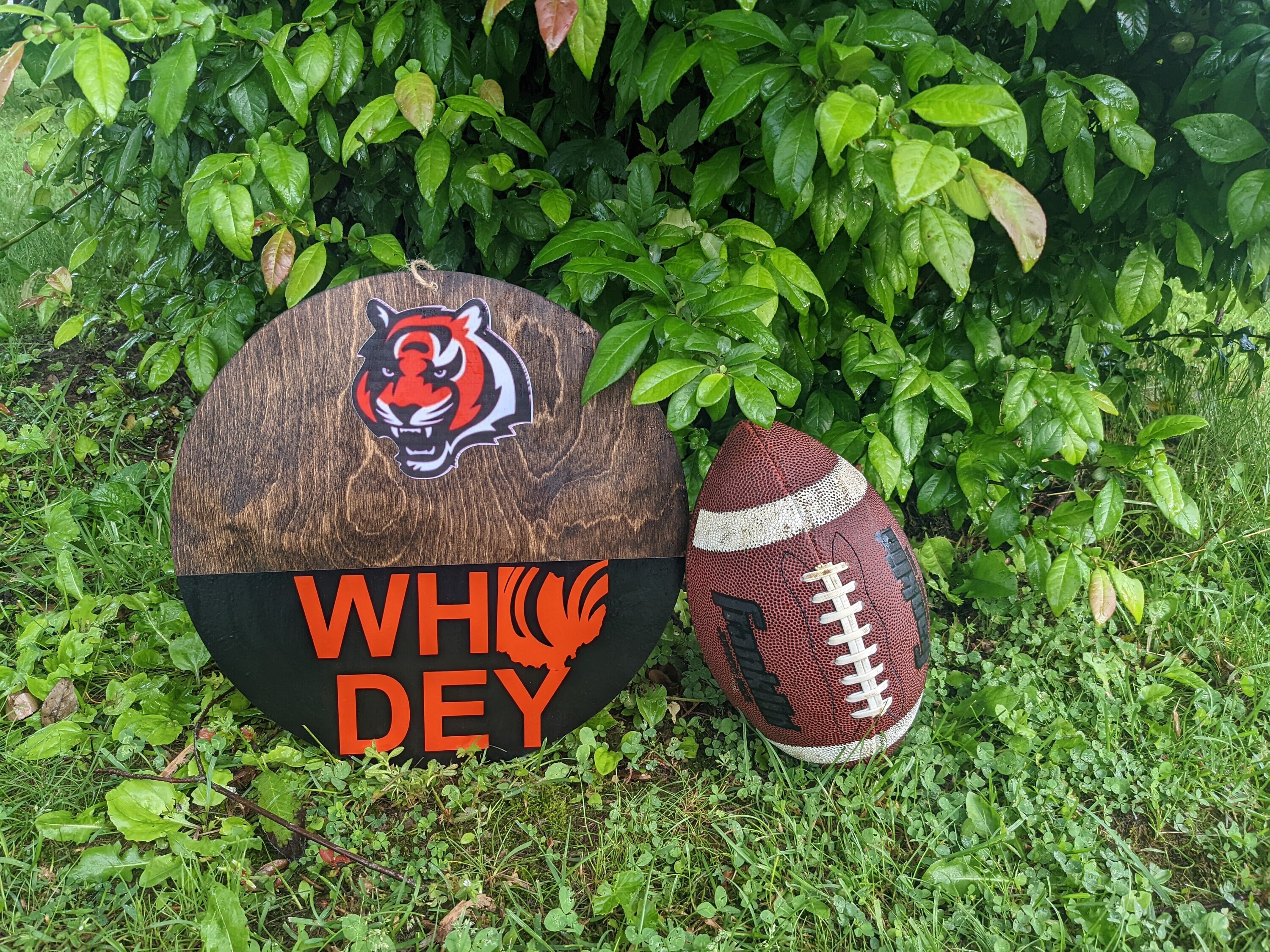 Bengals Sign/ Bengals Door Sign/ Bengals Decor/ Cincinnati - Etsy