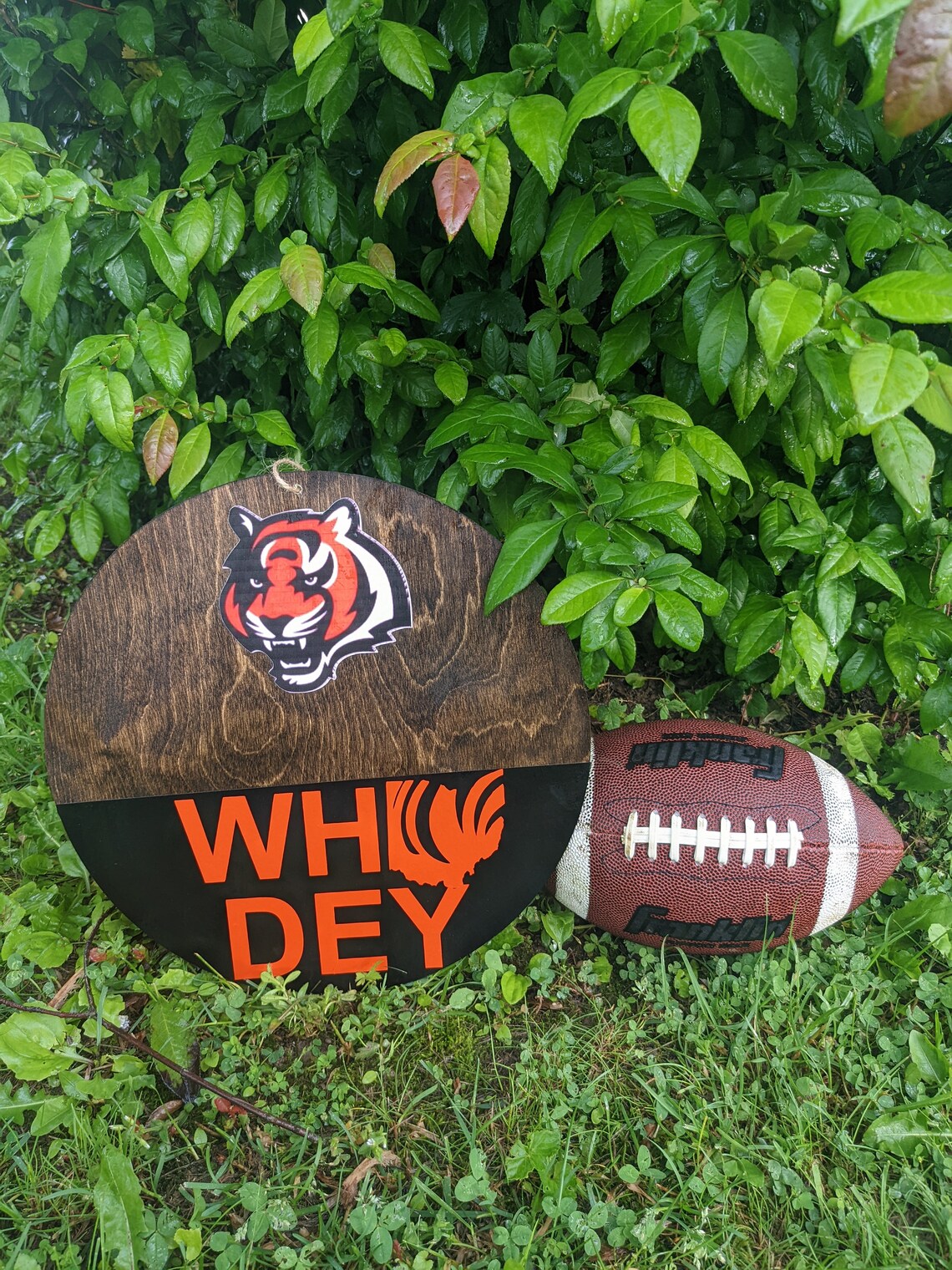 Bengals Sign/ Bengals Door Sign/ Bengals Decor/ Cincinnati Etsy