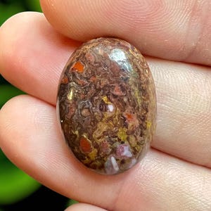 Dinosaur Bone Fossil Cabochon, Dino  Cabochon, Dino Bone, Fossil Cabochon, Fossilized Bone, Jewelry Making, dinosaur bone jewelry