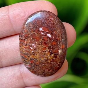 Dinosaur Bone Fossil Cabochon, Dino  Cabochon, Dino Bone, Fossil Cabochon, Fossilized Bone, Jewelry Making, dinosaur bone jewelry