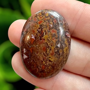 Dinosaur Bone Fossil Cabochon, Dino  Cabochon, Dino Bone, Fossil Cabochon, Fossilized Bone, Jewelry Making, dinosaur bone jewelry