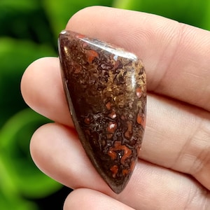Dinosaur Bone Fossil Cabochon, Dino  Cabochon, Dino Bone, Fossil Cabochon, Fossilized Bone, Jewelry Making, dinosaur bone jewelry