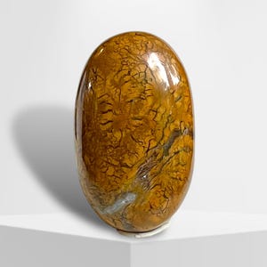 Stone Canyon Brecciated Yellow Jasper Cabochon, Agate Jasper Cabochon, Yellow Purple Jasper, Brecciated Jasper Cabochon