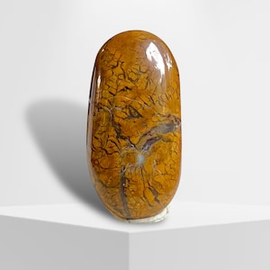 Stone Canyon Brecciated Yellow Jasper Cabochon, Agate Jasper Cabochon, Yellow Purple Jasper, Brecciated Jasper Cabochon
