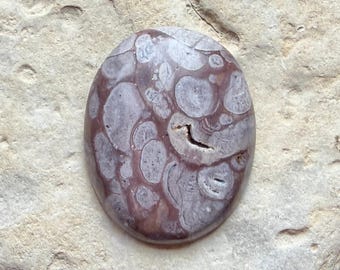 Cabochon di riolite a forma di fungo, cabochon di diaspro a forma di fungo, diaspro orbicolare, pietre per la creazione di gioielli, avvolgimento con filo, unico, bolle, diaspro