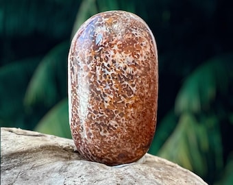 Puede incluir: Una piedra lisa de forma ovalada pulida con un patrón marrón y blanco. La piedra tiene un aspecto natural y orgánico.