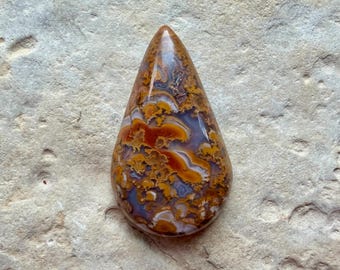 Raro cabochon di agata piumata La Riviera, agata piumata coda di gallo, unico, insolito, materiali per la creazione di gioielli, pietre per avvolgimento del filo, a goccia