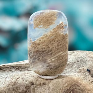 Könnte beinhalten: Ein glatter, ovaler, weißer Stein mit braunen und grauen Einschlüssen. Der Stein liegt auf einem Stück Treibholz.