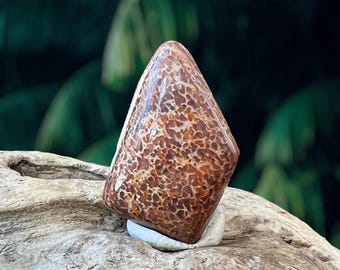 Puede incluir: Una piedra fosilizada marrón y blanca con una superficie rugosa y texturizada. La piedra tiene forma de diamante y está sentada sobre un trozo de madera flotante.