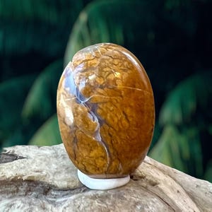 Stone Canyon Brecciated Yellow Jasper Cabochon, Agate Jasper Cabochon, Yellow Purple Jasper, Brecciated Jasper Cabochon