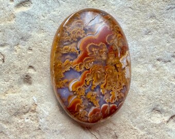 Raro cabochon di agata piumata La Riviera, agata piumata coda di gallo, unico, insolito, materiali per la creazione di gioielli, pietre per avvolgimento del filo.