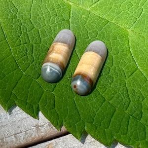 Blue Mountain Picture Jasper Earring Pair Cabochons, Blue mountain Jasper, Picture Jasper, jewelry making, earring cabochons, cabochon pair