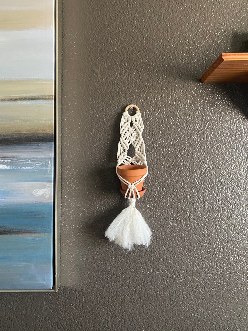 May include: A white macrame plant hanger with a terracotta pot and a white tassel. The hanger is hanging on a textured gray wall.