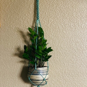 May include: A teal macrame plant hanger with a wooden ring at the top holds a white and black striped ceramic pot with a green plant.
