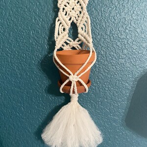 May include: A white macrame plant hanger with a terracotta pot and a white tassel. The hanger is hanging on a teal wall.