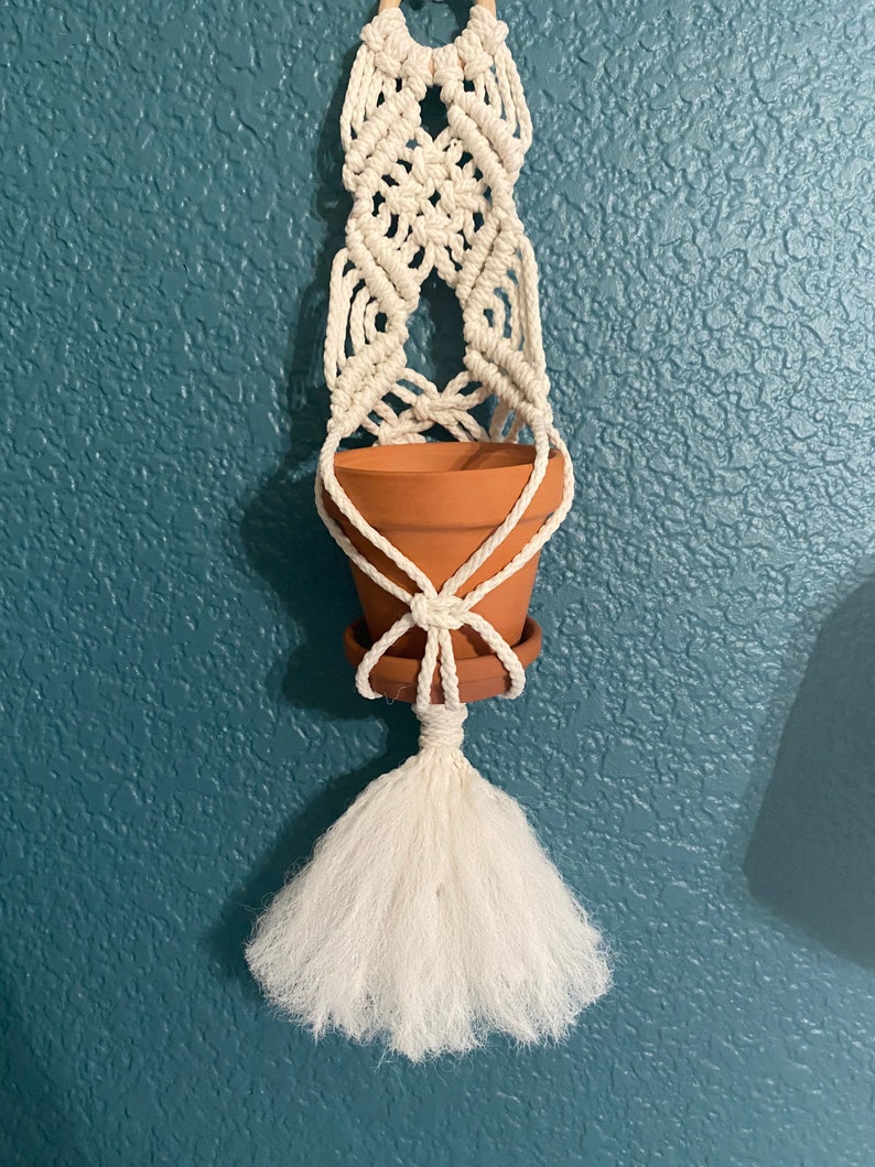 May include: A white macrame plant hanger with a terracotta pot and a white tassel. The hanger is hanging on a teal wall.
