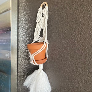 May include: A white macrame plant hanger with a terracotta pot and a white tassel. The hanger is hanging on a brown wall.