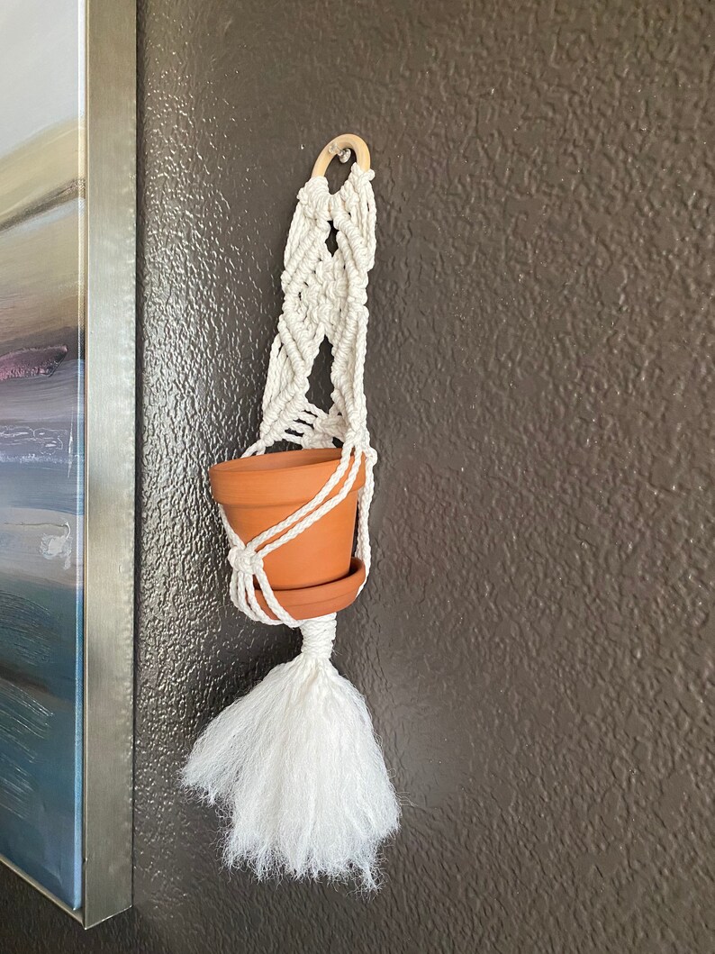 May include: A white macrame plant hanger with a terracotta pot and a white tassel. The hanger is hanging on a brown wall.