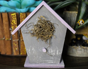 Könnte beinhalten: Ein dekoratives Vogelhaus, grau lackiert mit lila Dach und Sockel, mit einem Nest aus trockenem Gras. Es wird von einer blauen Sukkulente in einem Holztopf und einer Topfpflanze mit grün-weiß gestreiften Blättern flankiert.