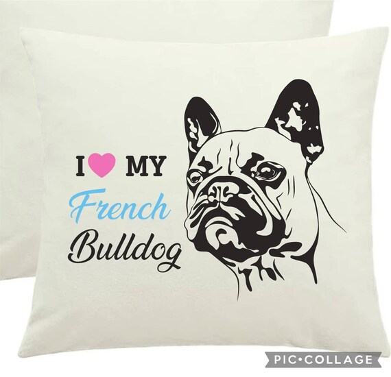 frenchie cushion