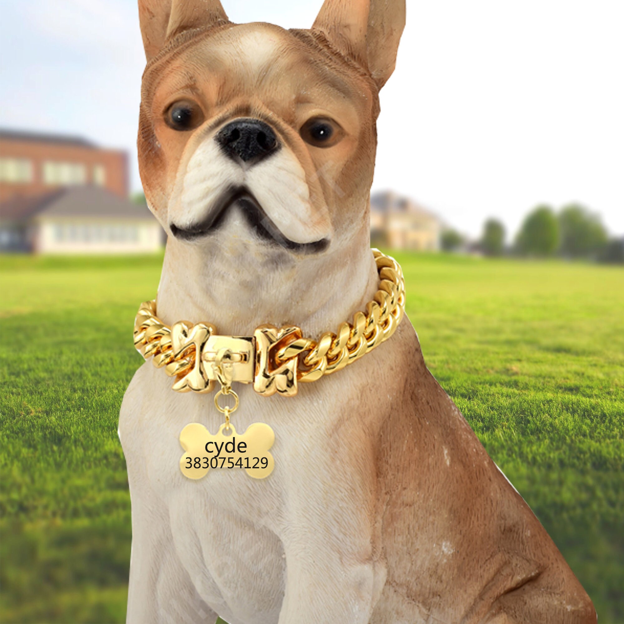 Chihuahua gold chain collar sales