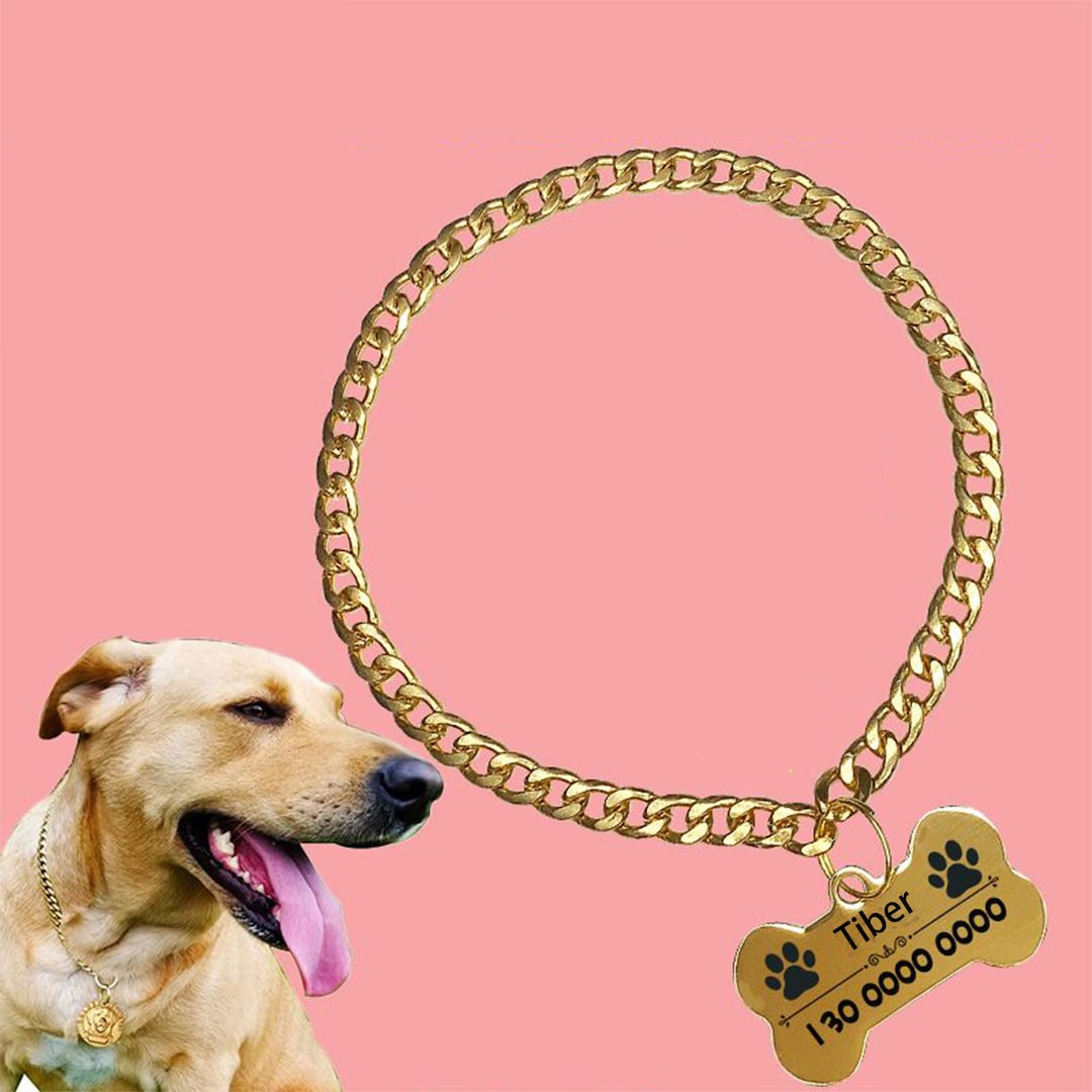 Personalized Gold Dog Chain Collar Walking Metal Chain Collar Etsy