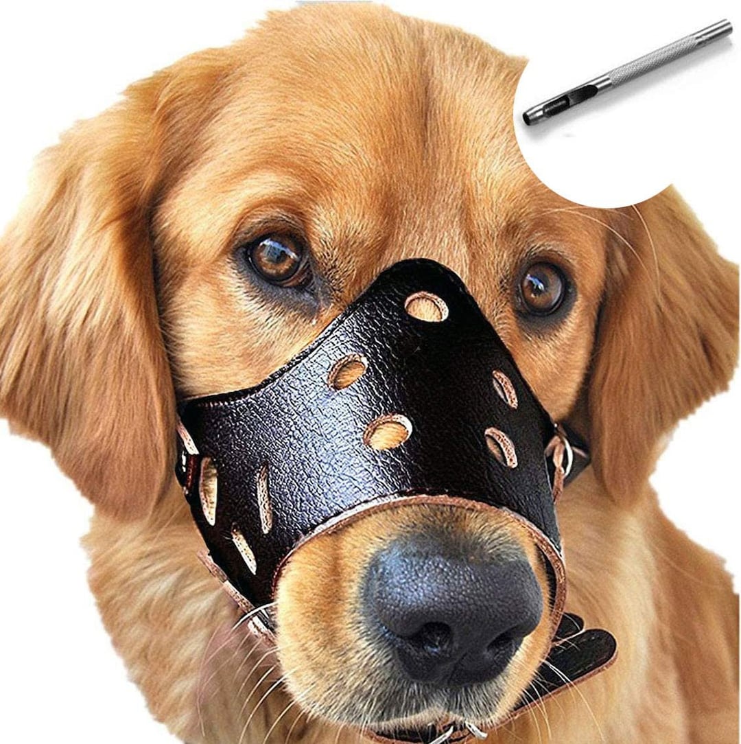 Handmade Dog Muzzle Leather, Comfort Secure Antibarking Muzzles for
