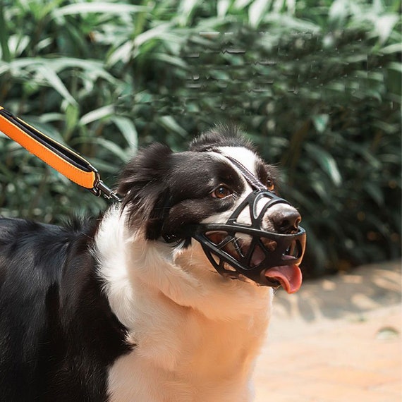Can I Muzzle My Puppy To Stop Biting