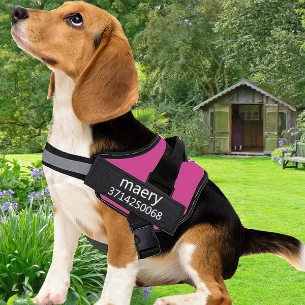 Personalized No Pull Dog Harness Custom Pet Vest to Prevent Tugging,Pulling,Training and Walking Pet Gift