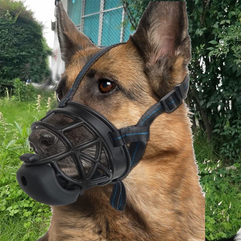 How Do You Condition A Dog With A Muzzle