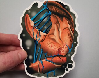 Lobster Claw Sticker, Water Resistant Vinyl, Hydro Flask Water Bottle Decal, Laptop Cover Sticker, Digital Nature Underwater Illustration