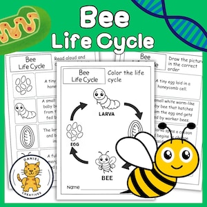 Bee Life Cycle Worksheets | Cut, Paste, Color & Read Aloud Activities