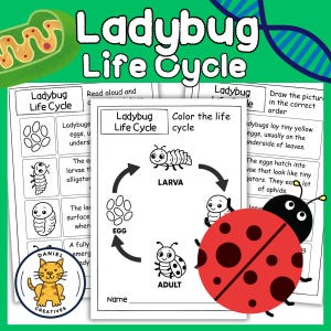 Ladybug Life Cycle Worksheets | Cut, Paste, Color & Read Aloud Activities