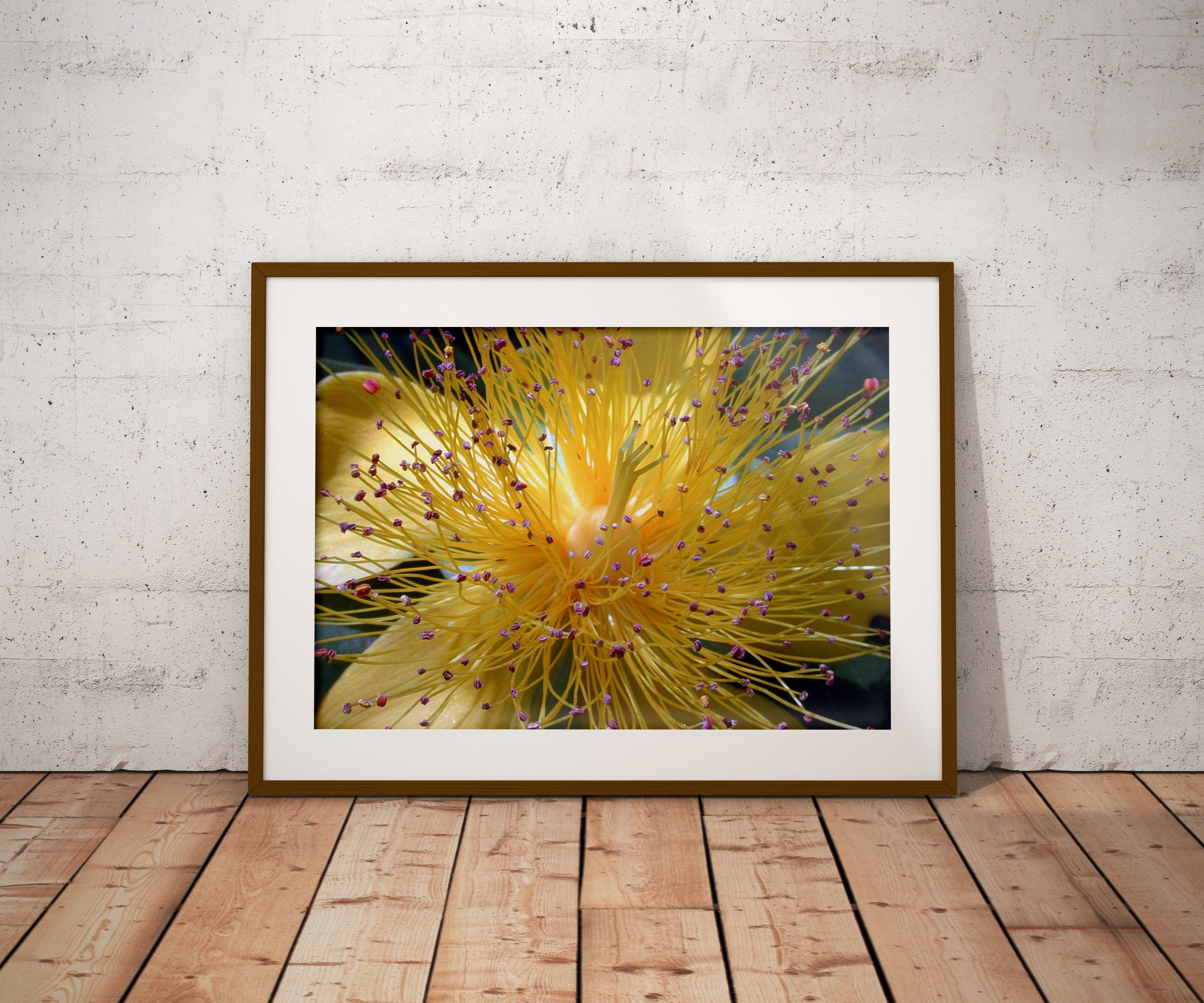 Fleur Doigt de Fée - Photographie Artistique Exclusive Fine Art Photo