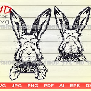 May include: Black and white line art illustration of two rabbits with their ears up. The rabbits are facing forward and have a cute expression on their faces.