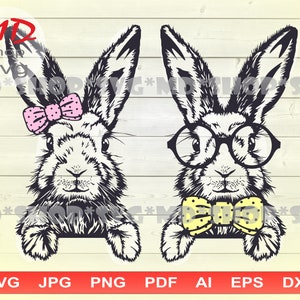 Bunnies SVG for Cricut, Rabbits Male and Female Silhouette DXF, T-shirt ...