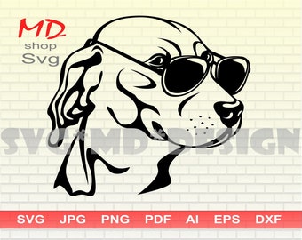 Labrador in glasses, funny dog SVG files for Cricut, dog face silhouette, digital download dxf, png files