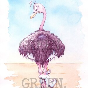 May include: A watercolour painting of an ostrich with a pink head and neck, standing on a sandy surface. A small, white bird is hugging the ostrich's legs. The painting is signed "GREEN."