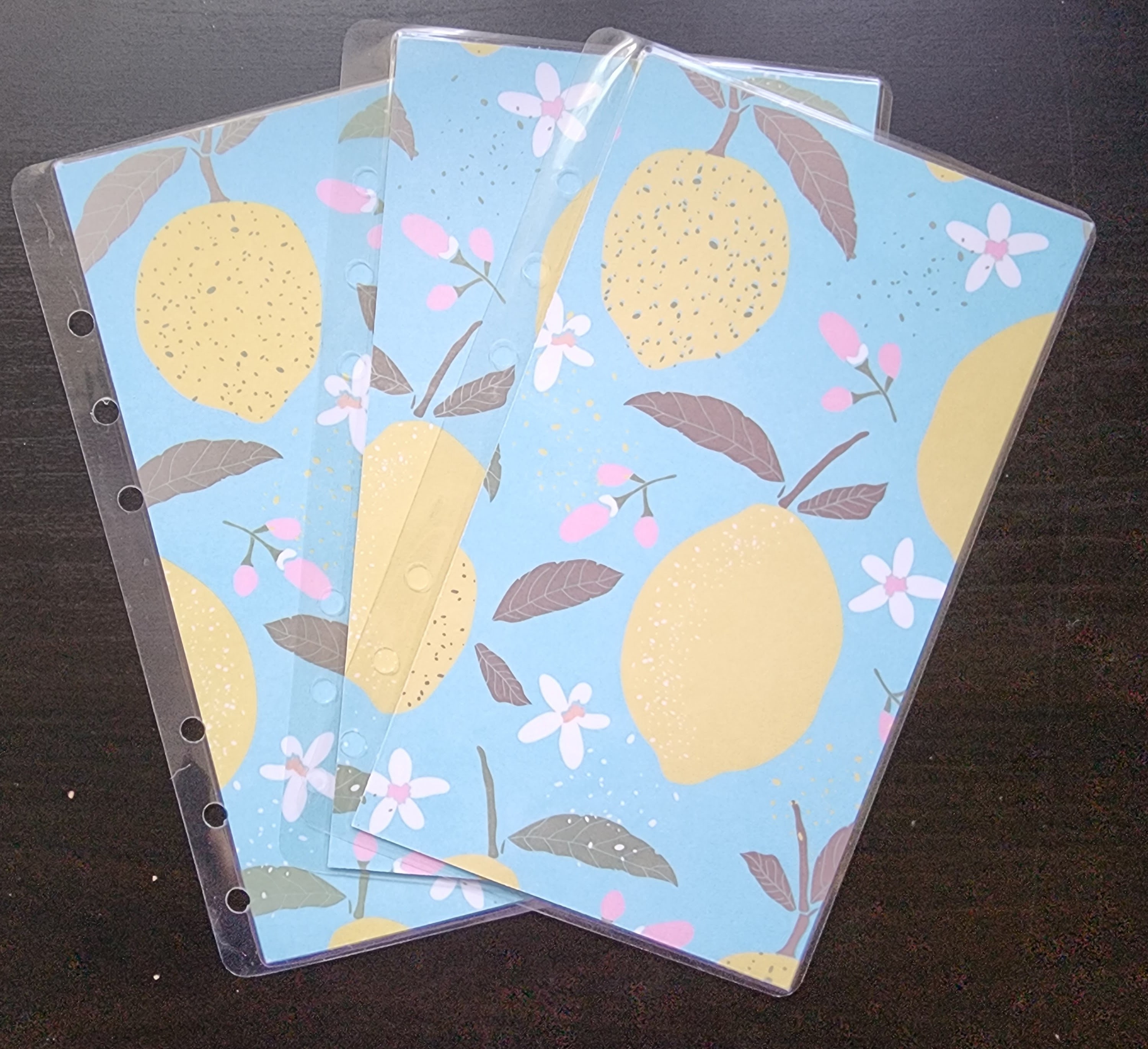 LEMONADE Reusable Savings Tracker Etsy