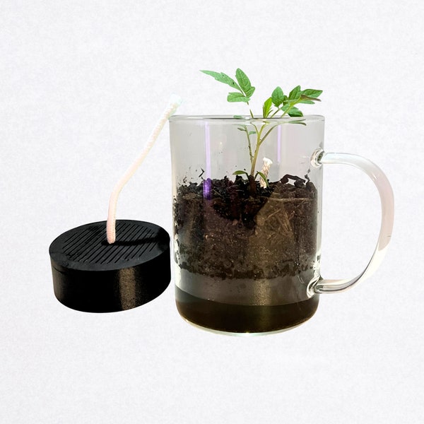 Self watering kit to turn any mug or vase into a planter, kitchen indoor herbs plants, window garden recycle pot mug self watering planter