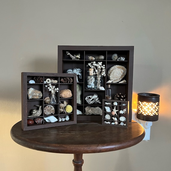 Wooden Curiosity Cabinet Printer Tray Letterbox Display, Rock