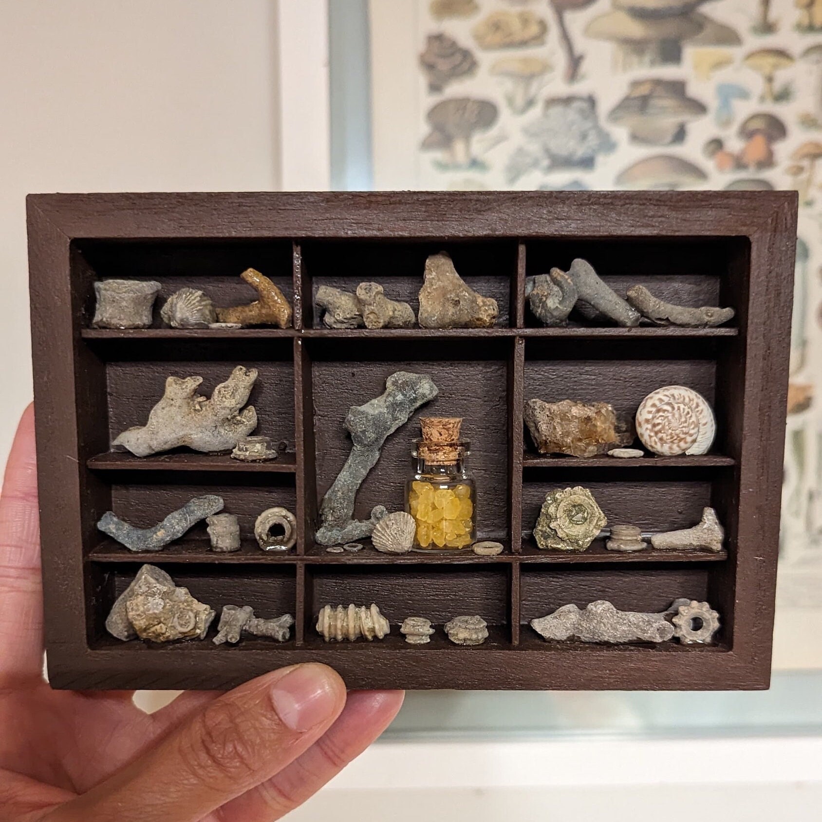 Wooden Curiosity Printer Tray Letterbox Display Rock Etsy