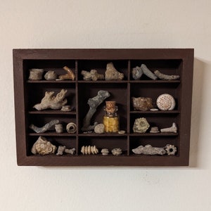 Wooden Curiosity Cabinet Printer Tray Letterbox Display, Rock Display, Shelf of Curiosities Wall Decor Cabinet Vintage Drawer REAL FOSSILS